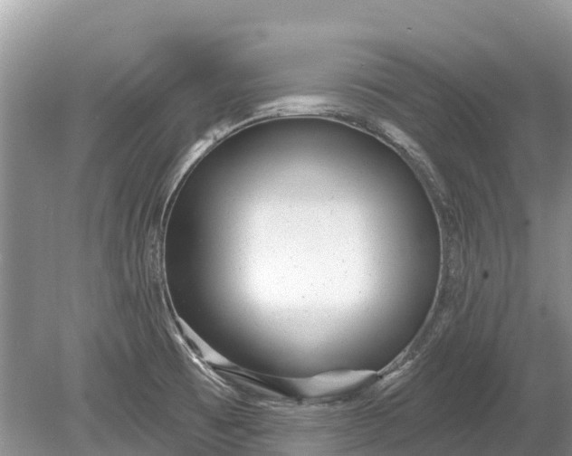 X0000078891473200611271340