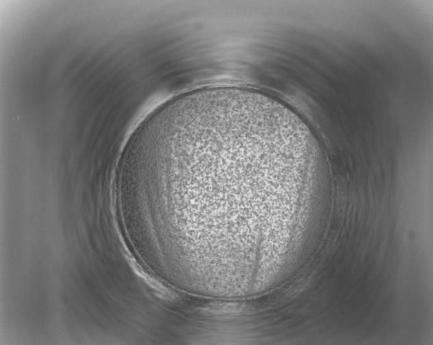 X0000078891474200611271340