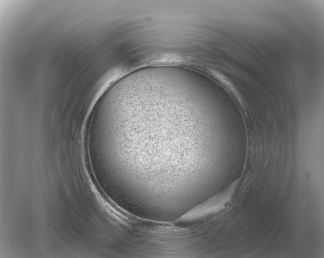 X0000078891475200611271340