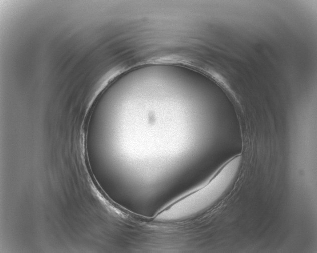 X0000078891476200611271340