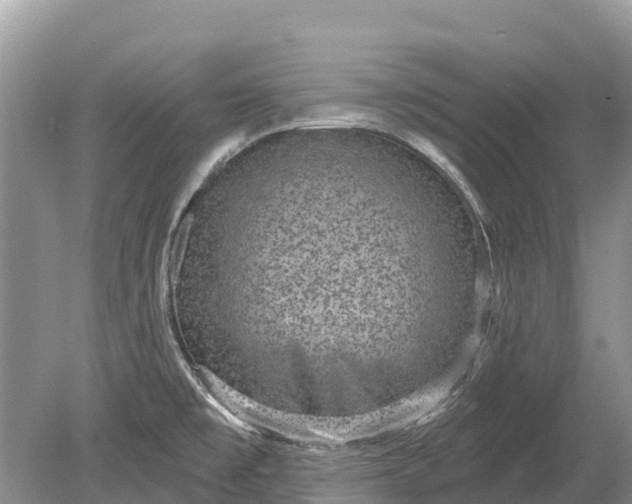 X0000078891477200611271340