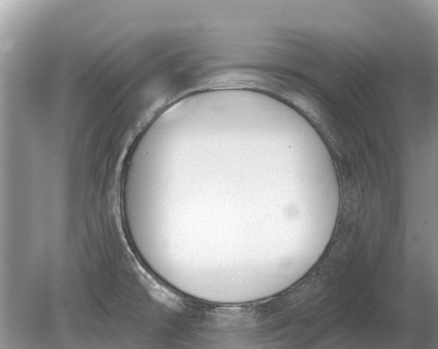 X0000078891478200611271340