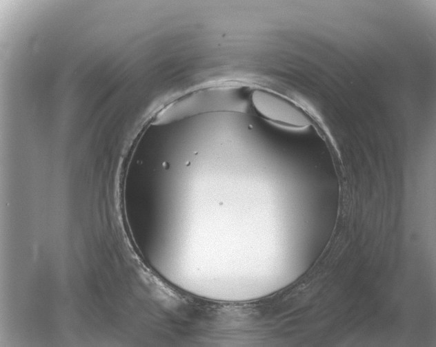 X0000078891480200611271340