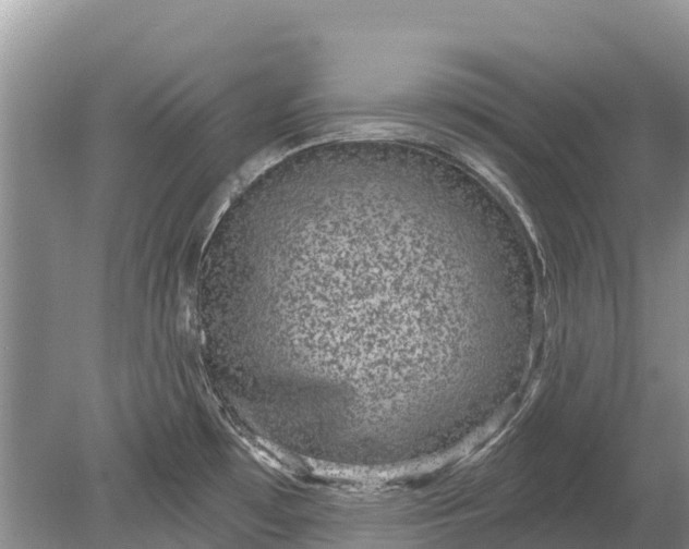 X0000078891481200611271340