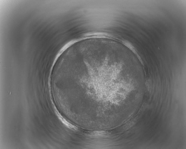 X0000078891482200611271340