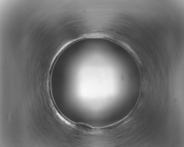 X0000078891484200611271340