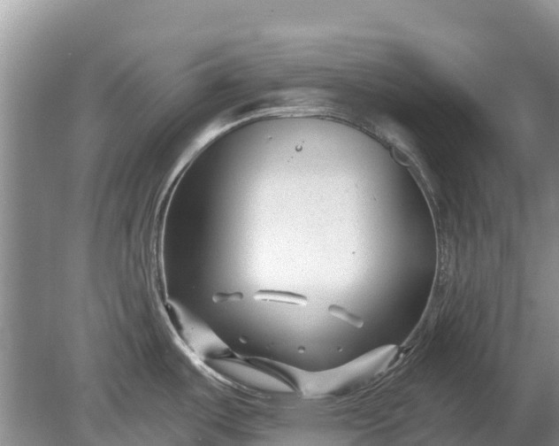 X0000078891487200611271340