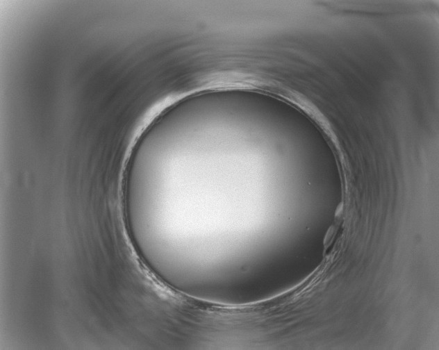 X0000078891488200611271340