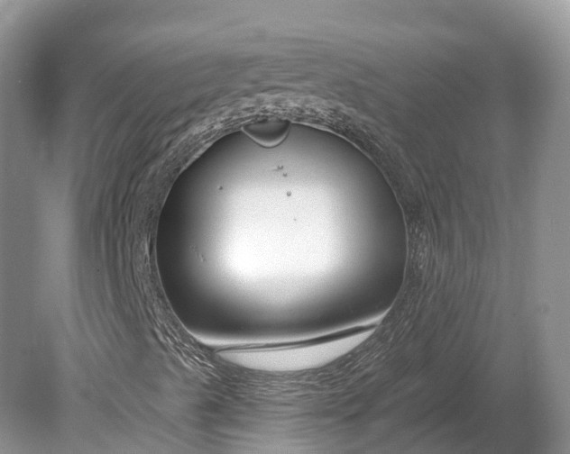 X0000078891489200611271339