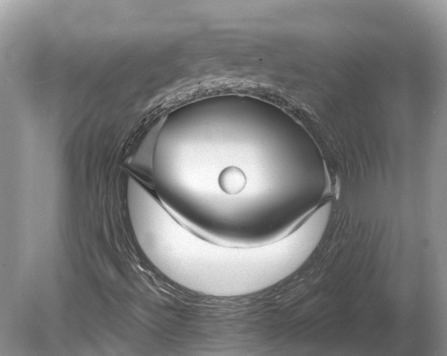 X0000078891492200611271339