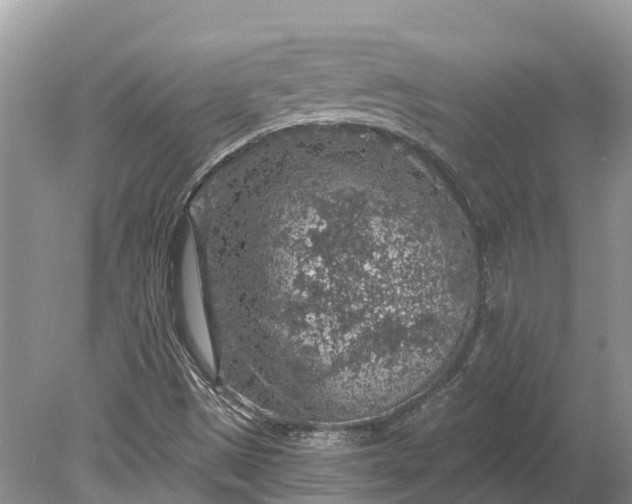 X0000078891497200611271339