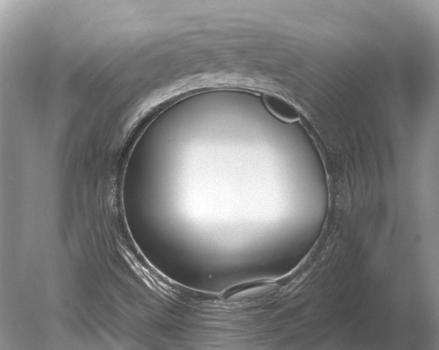 X0000078891499200611271339