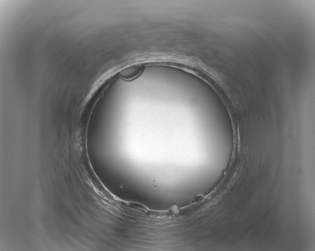 X0000078891501200611271339