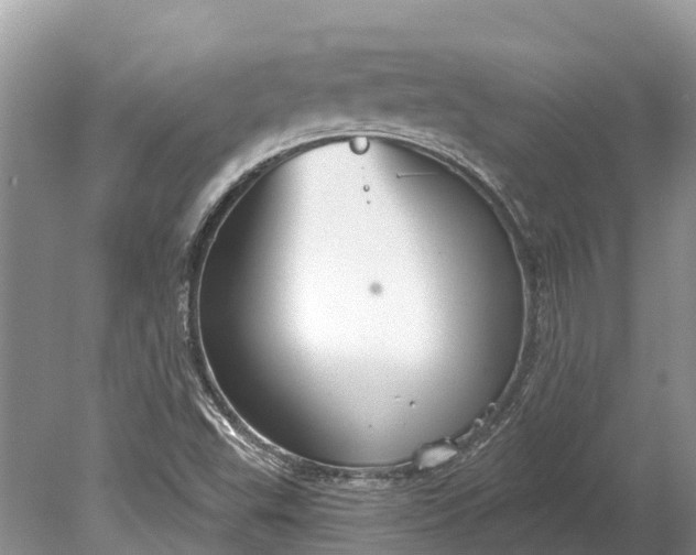 X0000078891503200611271339