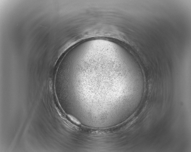 X0000078891505200611271339