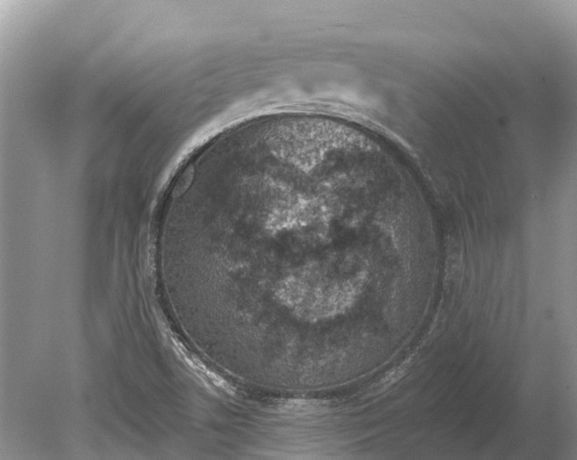 X0000078891506200611271339