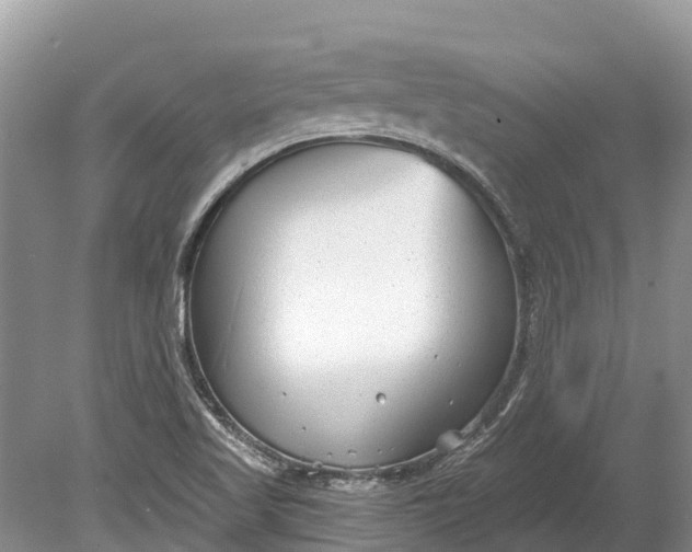 X0000078891509200611271339