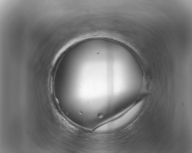 X0000078891510200611271339