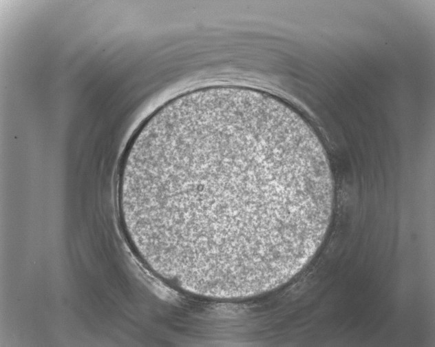 X0000078891514200611271339