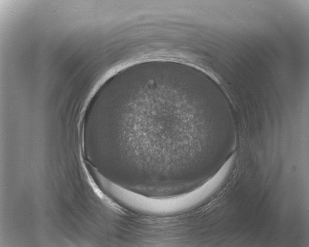 X0000078891515200611271339