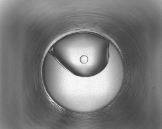 X0000078891516200611271339