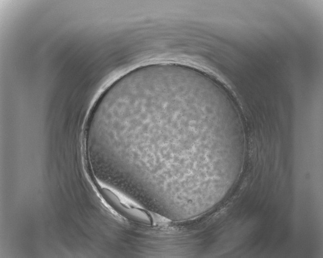 X0000078891517200611271339