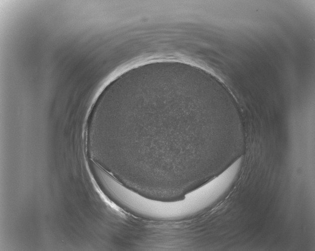 X0000078891519200611271339