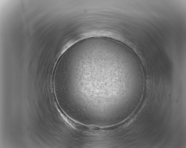 X0000078891521200611271339