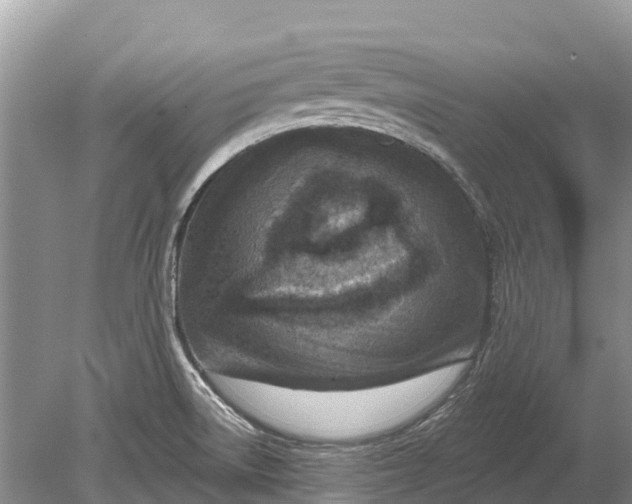 X0000078891522200611271339