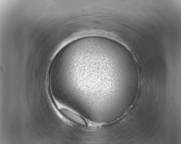 X0000078891523200611271339