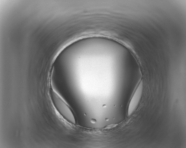 X0000078891524200611271339