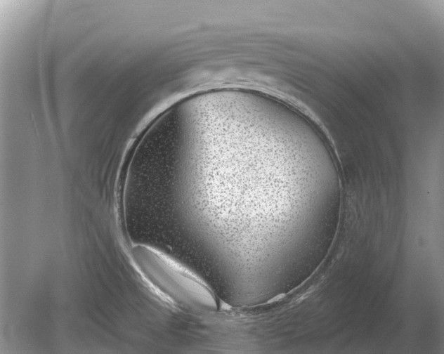 X0000078891525200611271339