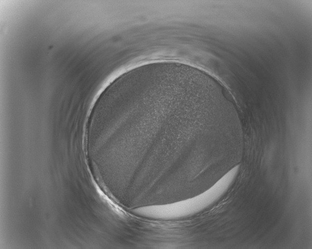 X0000078891527200611271339