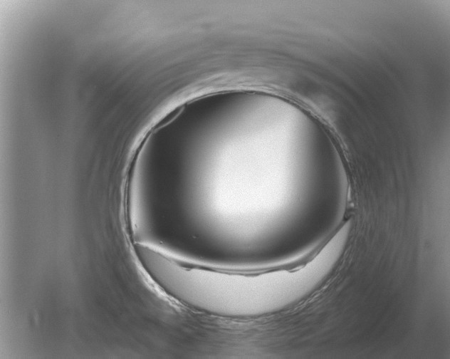 X0000078891528200611271339