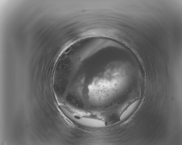 X0000078891529200611271339