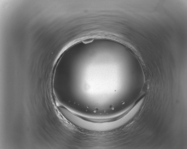 X0000078891530200611271339