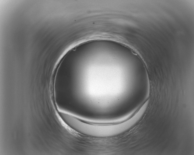 X0000078891531200611271339