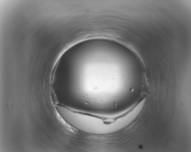 X0000078891532200611271340