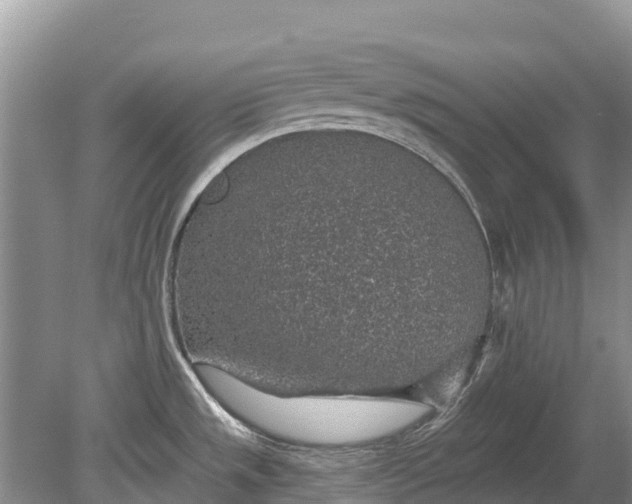 X0000078891533200611271340