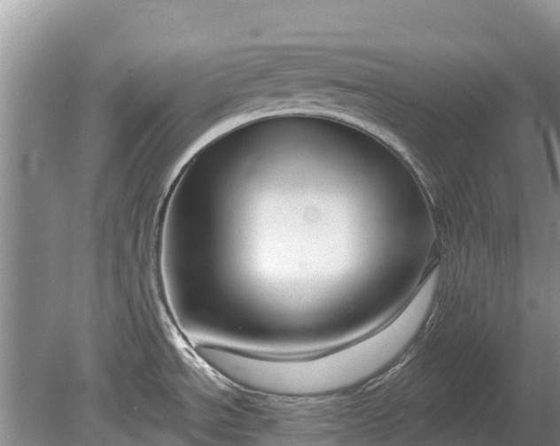 X0000078891534200611271340