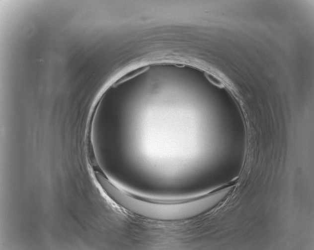 X0000078891536200611271340