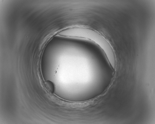 X0000078890001200612042102