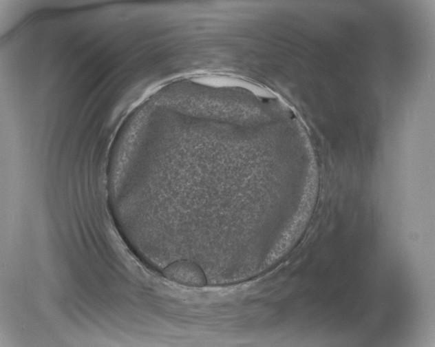 X0000078890002200612042102