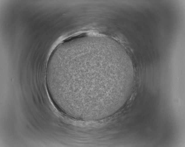 X0000078890003200612042102