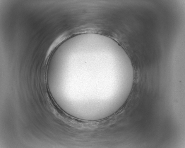 X0000078890004200612042102