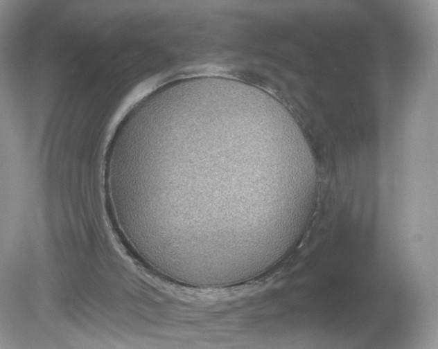 X0000078890006200612042102