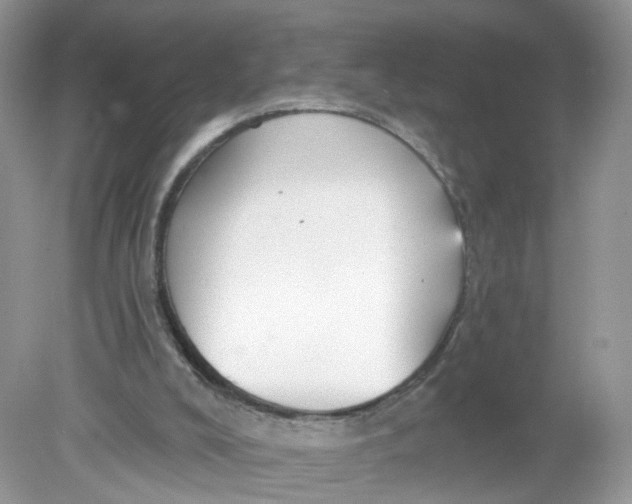 X0000078890008200612042102