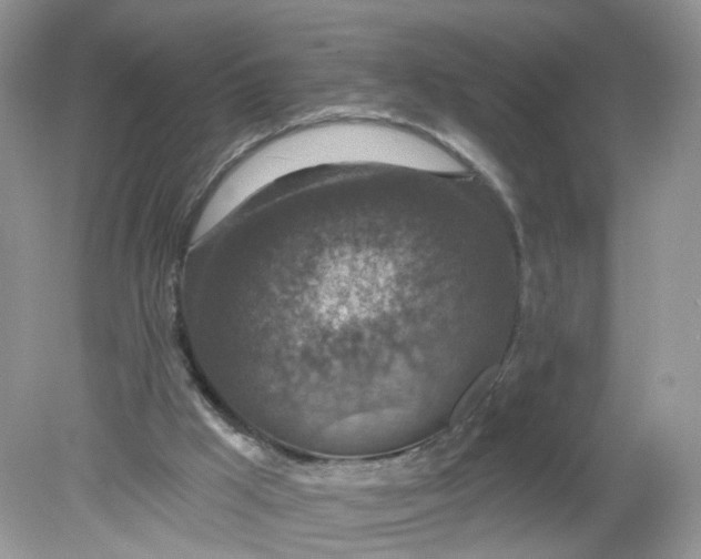 X0000078890009200612042102