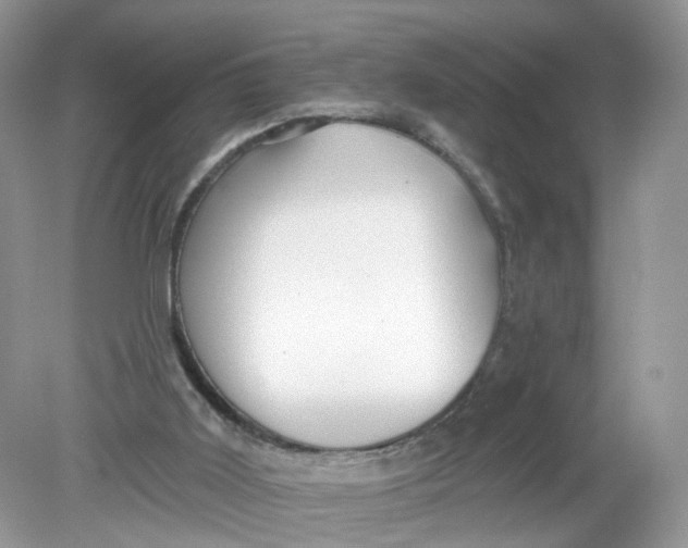 X0000078890011200612042102