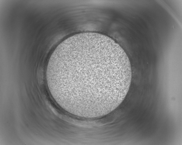 X0000078890012200612042102